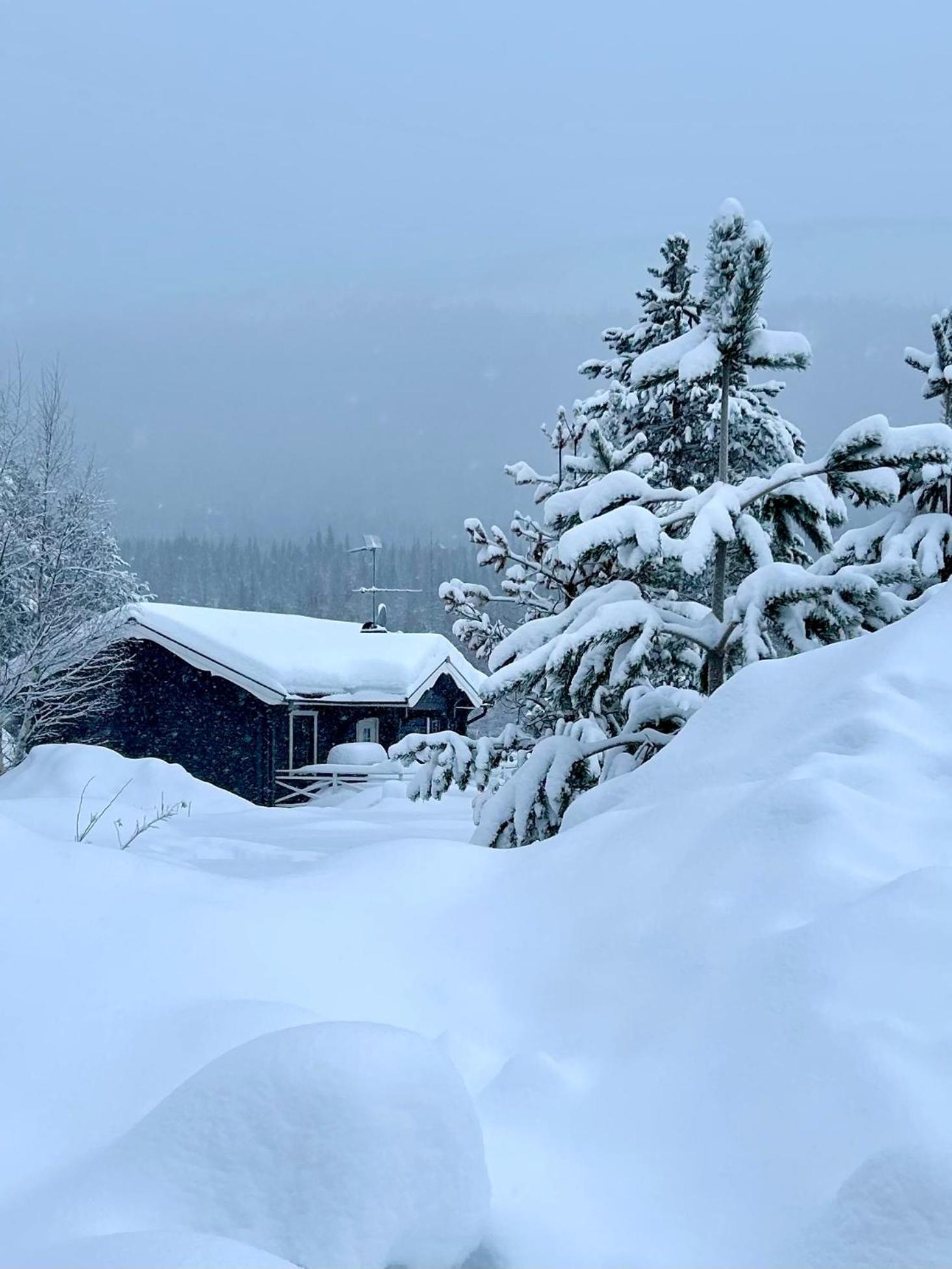 Nymon Mountain Lodge Stöten エクステリア 写真